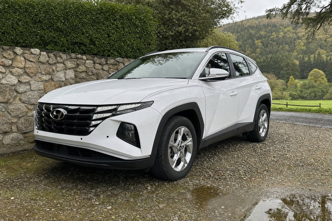 a detailed white SUV after detailing